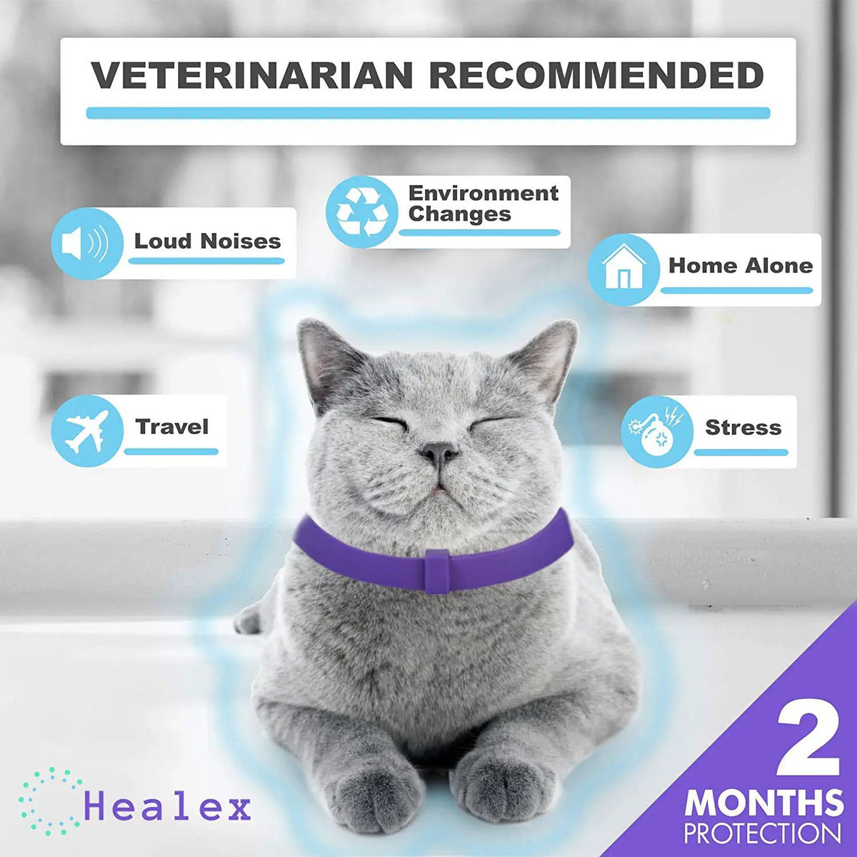 Cat anxiety-relief collar, purple Healex brand, 2 months protection