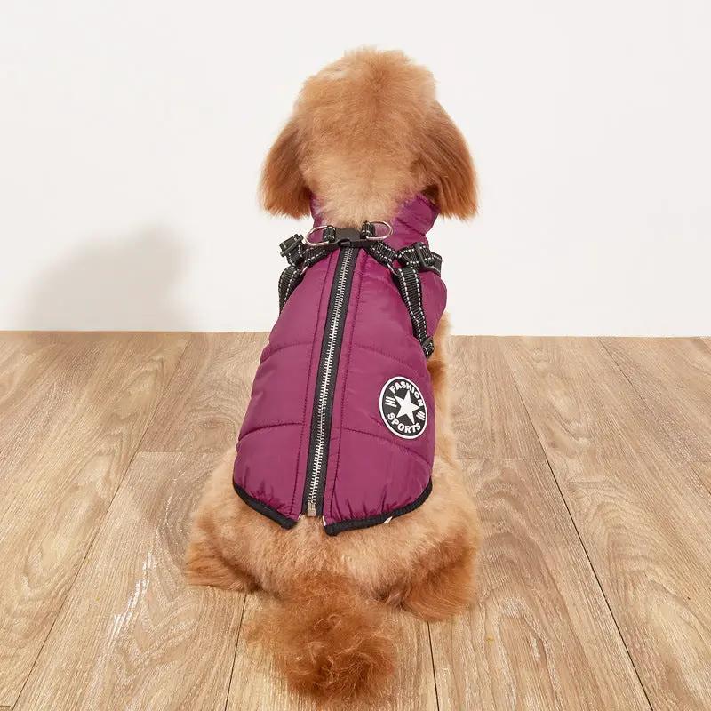 Pet warm dog coat, purple cotton-padded fleece-lined with reflective trim, AdTec Gallus