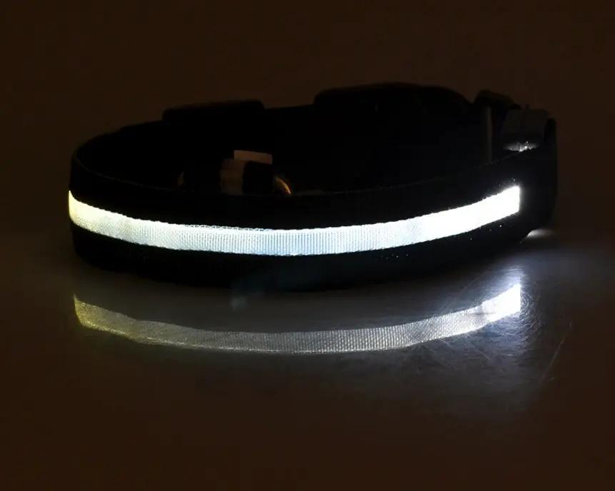 AdTec nylon LED pet collar with glowing reflective stripe for night safety, adjustable