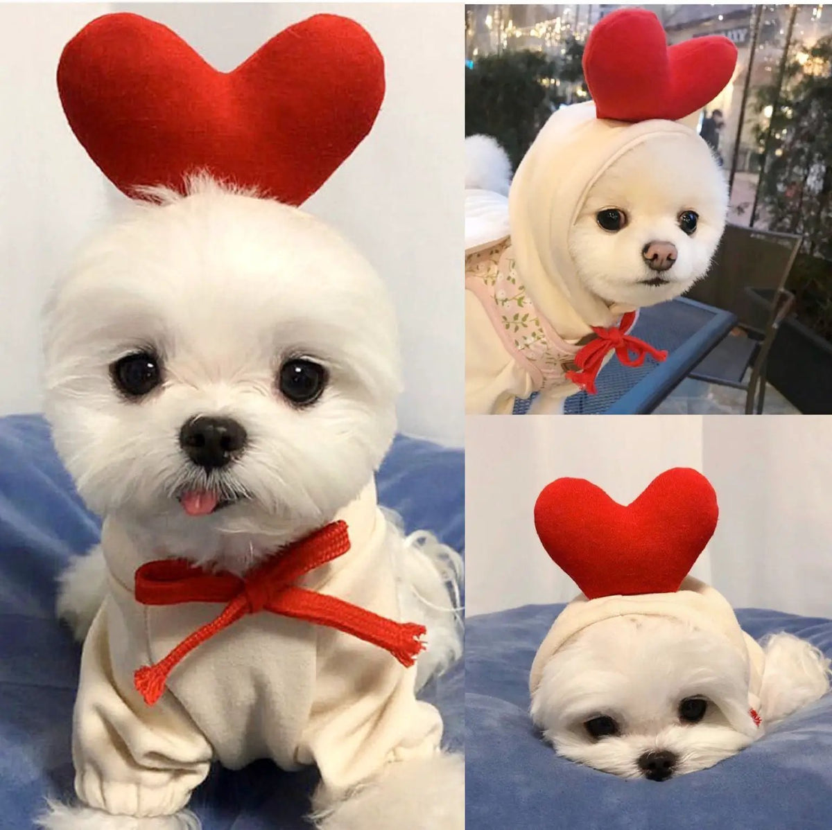 Cute fleece dog hoodie for small dogs, white coat with red bow.
