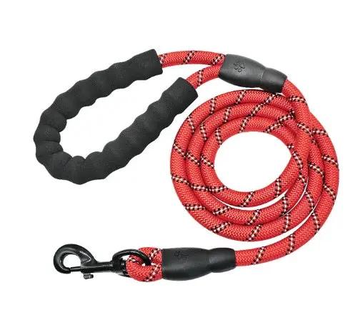 Reflective nylon dog leash with red braided rope and black padded handle, metal clip.