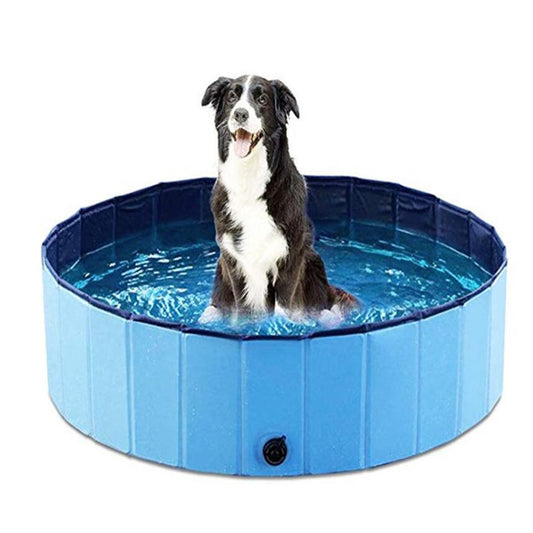 Piscina para mascotas, piscina plegable para perros, accesorios de baño grandes para perros