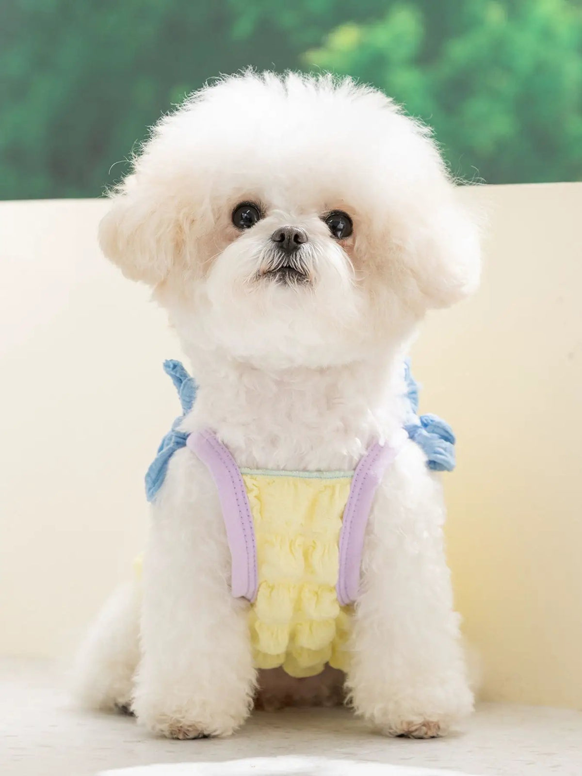 Bubble Textured Tie Shoulder Pet Top; pastel yellow with lavender straps on a fluffy white dog (Trendsi).