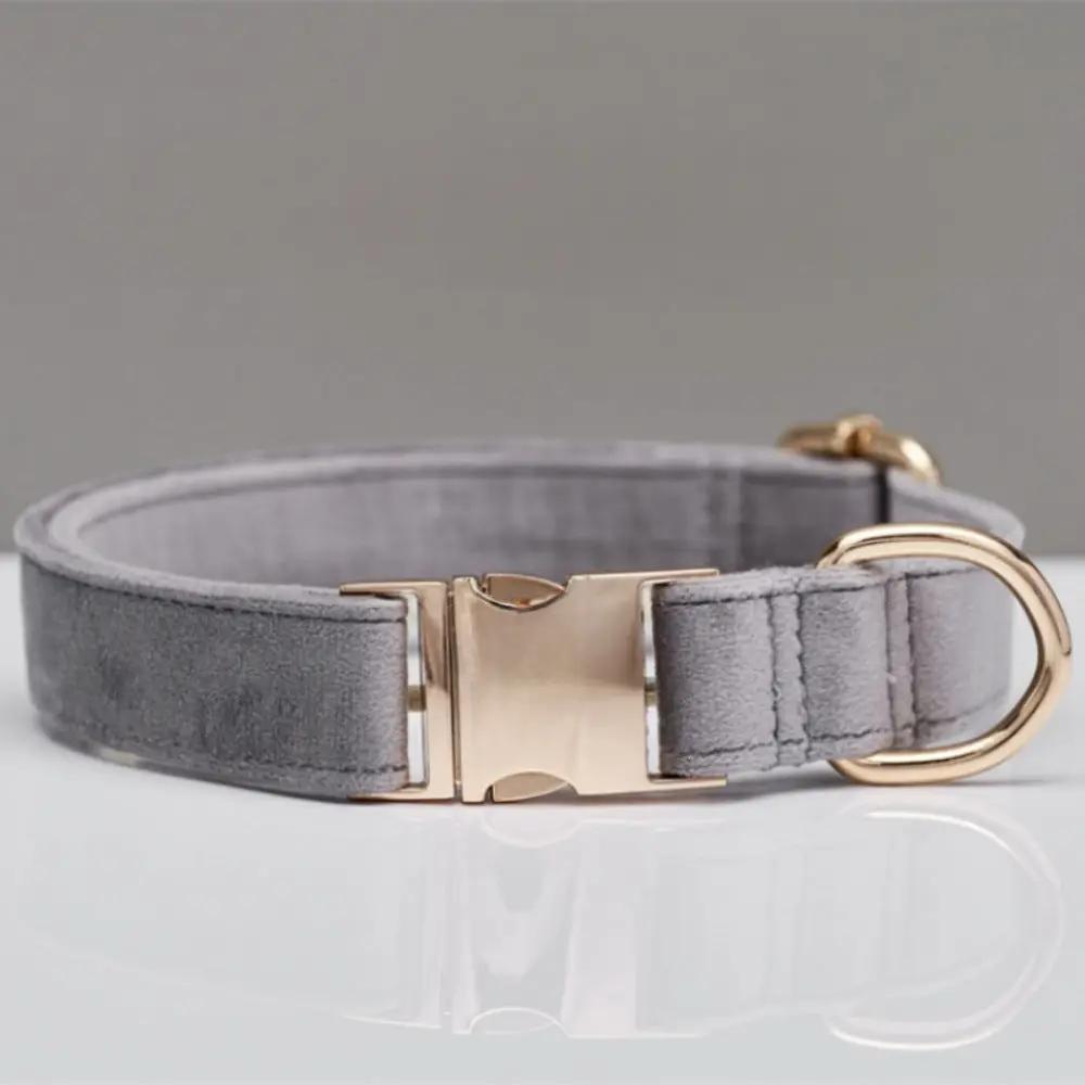 AdTec velvet dog collar in gray with gold-tone buckle and D-ring