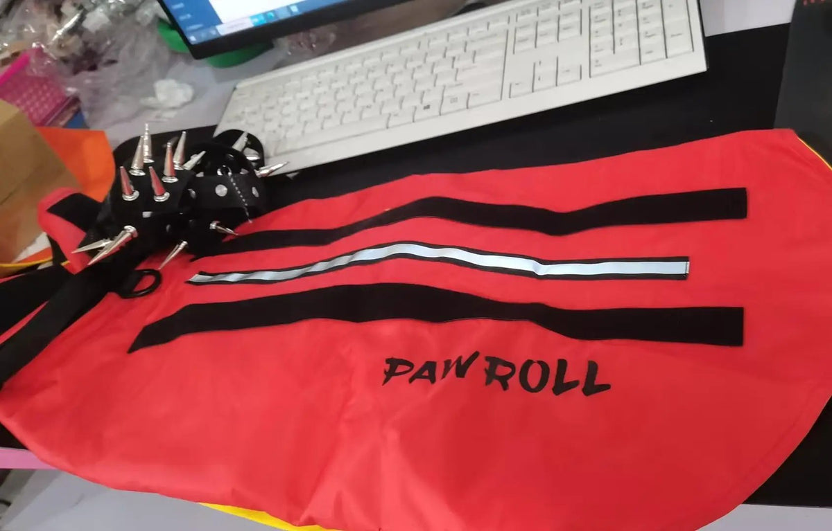 Paw Roll developing product in a red bag with black stripes and a black spiked collar accessory