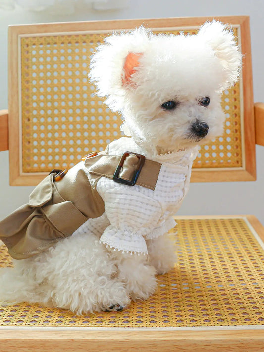 Buckle Pet Trench Coat on fluffy white dog; beige trench with brown buckle belt and lace-trimmed white top.