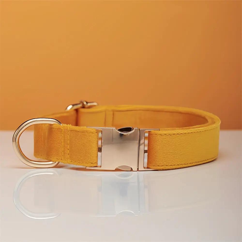 Velvet dog collar in yellow with metal buckle and D-ring.