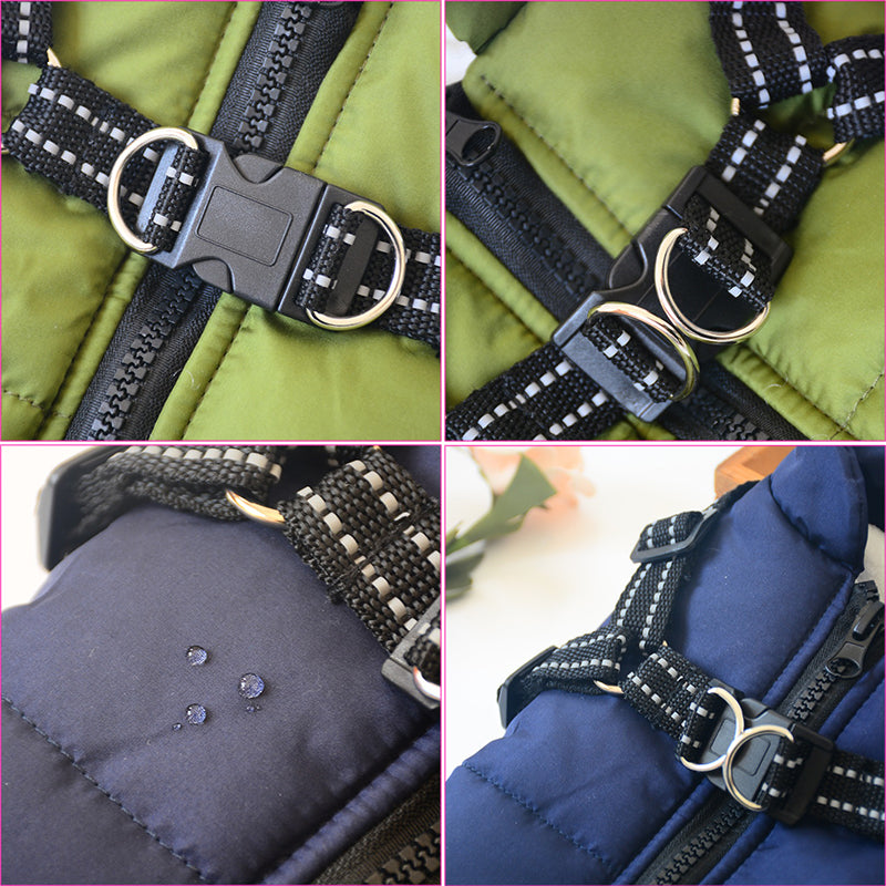 Waterproof dog coat with harness by AdTec; green and blue quilted jacket with black straps and metal buckles.