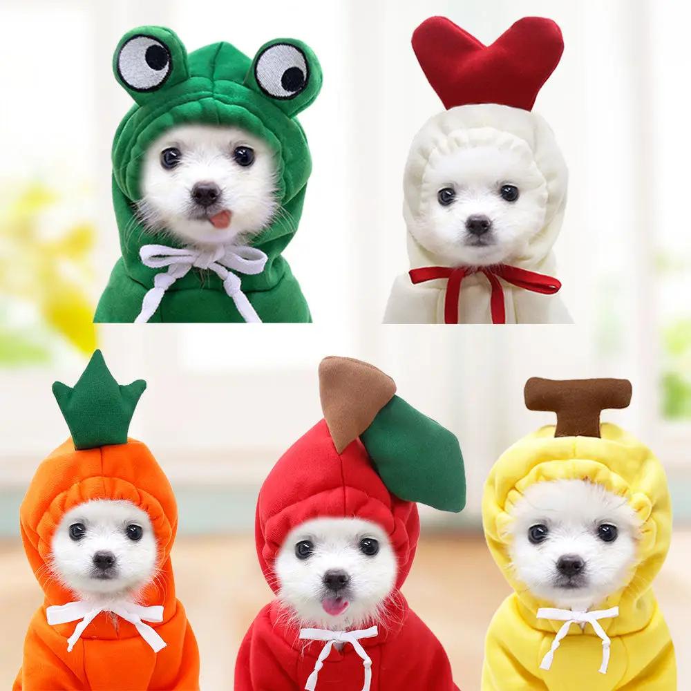 AdTec fruit dog hoodies for dogs; five outfits in green frog, white heart, orange carrot, red apple, yellow banana