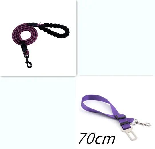 Two AdTec reflective nylon dog leashes in purple with metal clips