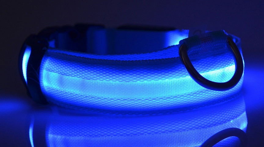 AdTec nylon LED dog collar with blue glow for night safety