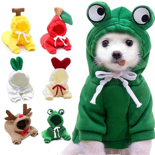 Set of 6 cute fruit-themed dog hoodies in warm fleece for small dogs