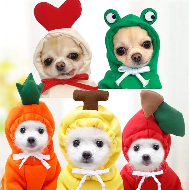AdTec fruit-themed fleece dog hoodies set for small dogs; 5 colorful outfits carrot pineapple strawberry frog heart