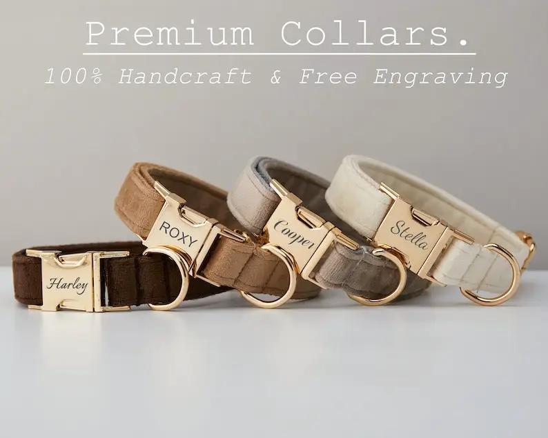 Five velvet dog collars with engraved name plates on gold-tone hardware in assorted colors