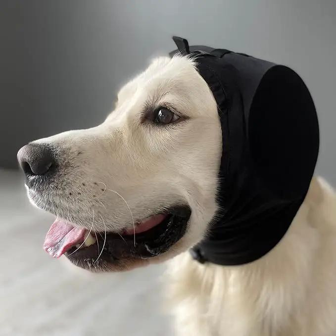 AdTec dog earmuffs for hearing protection, black padded ear coverings on a light-colored dog