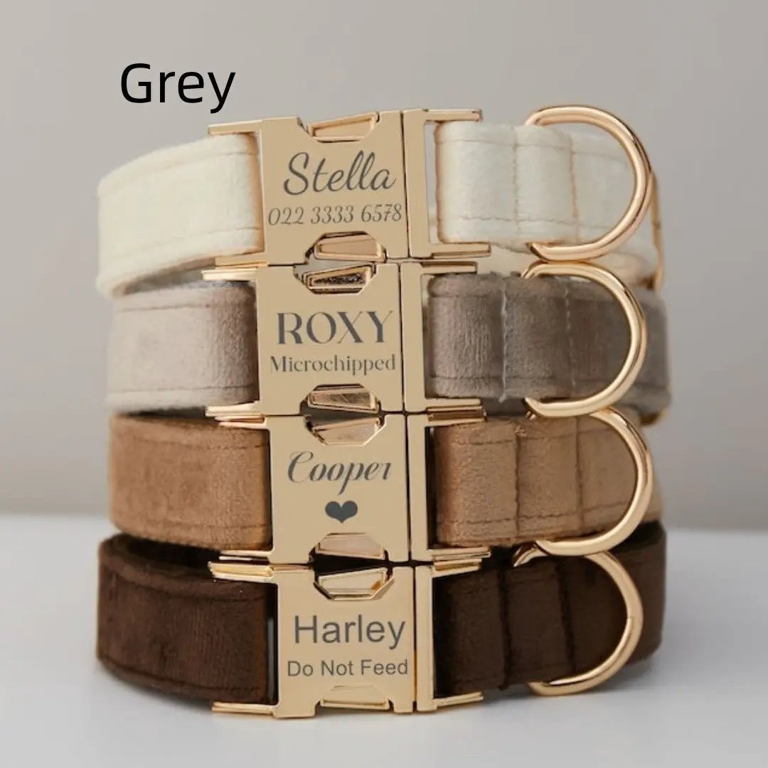 Velvet dog collar set in cream, grey, taupe and brown with personalised nameplates (4-pack)