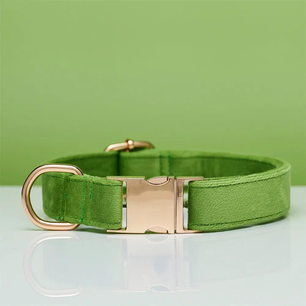 Dog collar in green velvet with gold buckle and D-ring