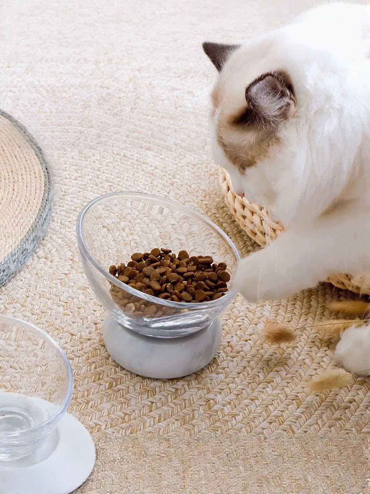 Elevated Tilted Non-Slip Clear Pet Bowl on gray pedestal with cat beside kibble