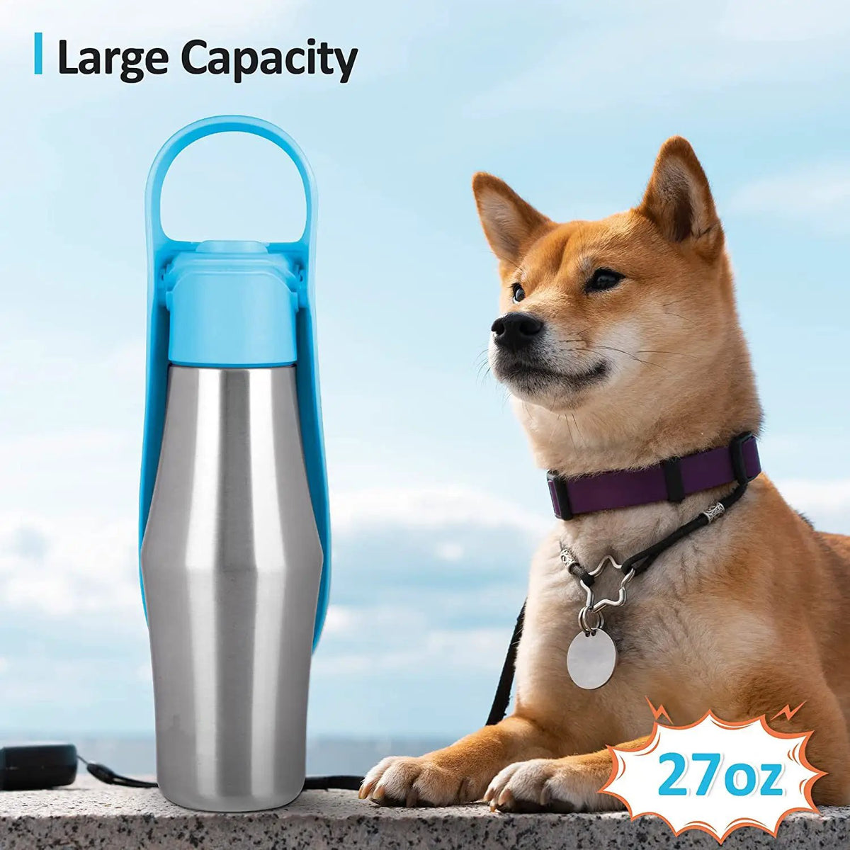 Portable dog water bottle in blue with stainless steel body and silicone top, 27oz capacity.