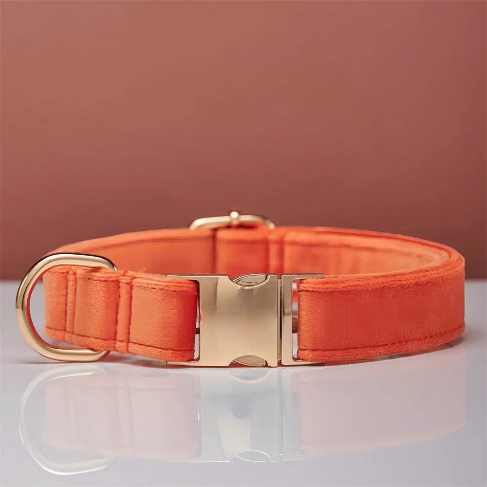 Velvet dog collar by AdTec in orange with gold-tone buckle and D-ring