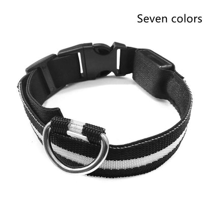 Collar luminoso de nailon con LED para mascotas, de seguridad nocturna, intermitente, que brilla en la oscuridad, correa ajustable para perros y gatos, suministros para mascotas