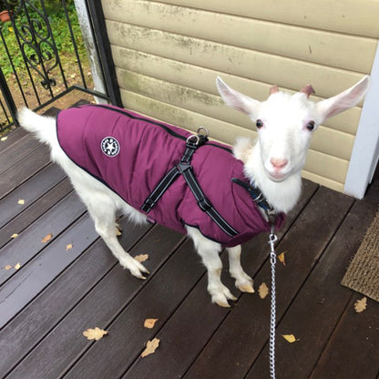 Ropa impermeable para perros, abrigo de invierno con arnés, ropa cálida para mascotas, chaqueta para perros grandes, abrigo para chihuahua y labrador, disfraz