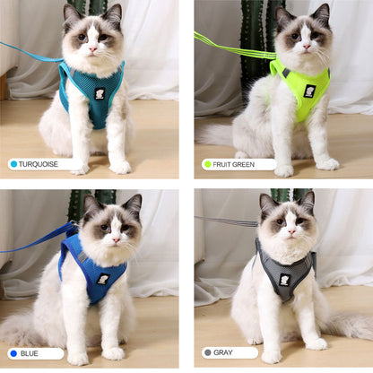 Arnés de tracción para gatos antichoque
