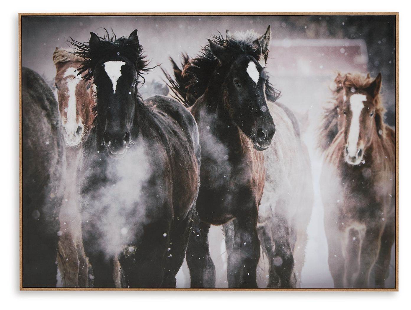 Chaseburn - Wall Art - Brown / Black / White-0
