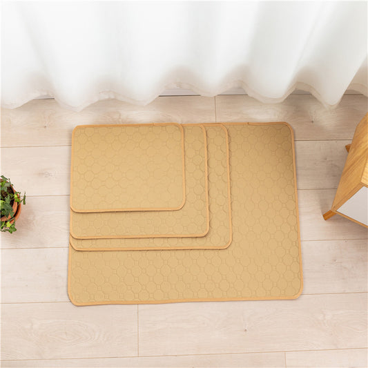 Animaux de compagnie entre le tapis, absorption répétée de l'eau, chien