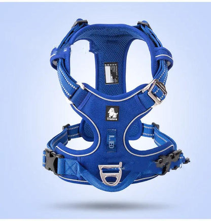 Blue vest-style dog harness with metal buckles and D-rings; TrueLove logo.