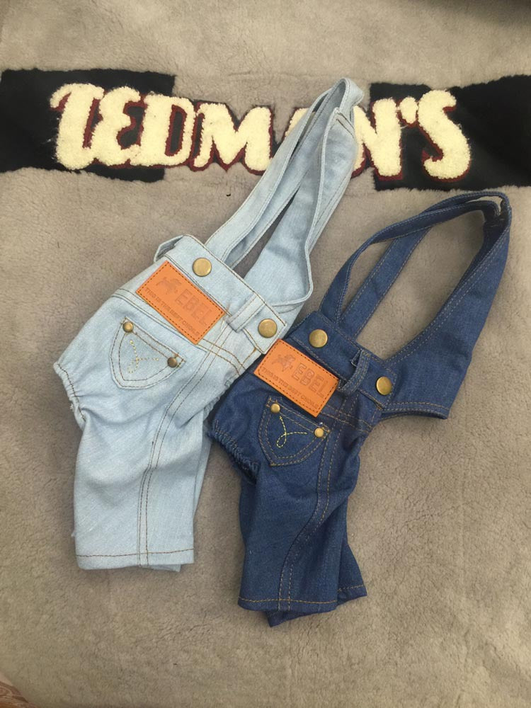 Combinaison en jean pour chien printemps et automne nouvelle salopette assortie vêtements pour animaux de compagnie pantalon pour chien