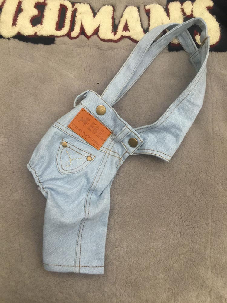 Combinaison en jean pour chien printemps et automne nouvelle salopette assortie vêtements pour animaux de compagnie pantalon pour chien