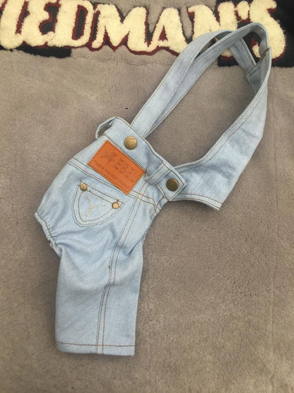 Combinaison en jean pour chien printemps et automne nouvelle salopette assortie vêtements pour animaux de compagnie pantalon pour chien