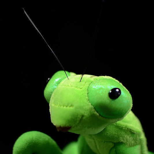 Jouets en peluche de Mante réalistes Jouets en peluche de Mante pour enfants