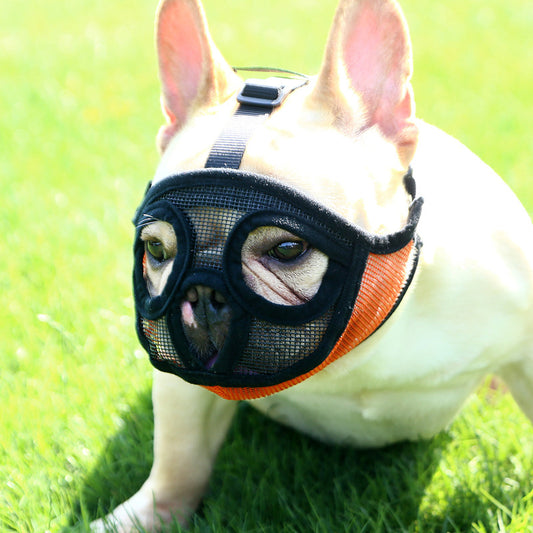 Muselière pour petit chien Hoopet, muselière respirante en forme de panier pour bouledogue français, harnais et fournitures pour chiens