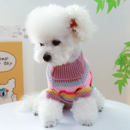 Pet sweater on a small white dog, colorful striped knitted sweater