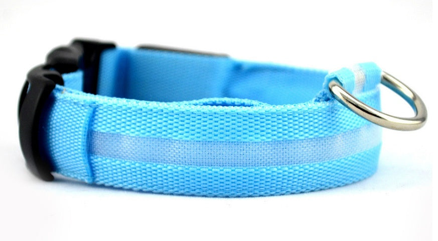 Blue nylon LED dog collar, adjustable with metal D-ring and buckle