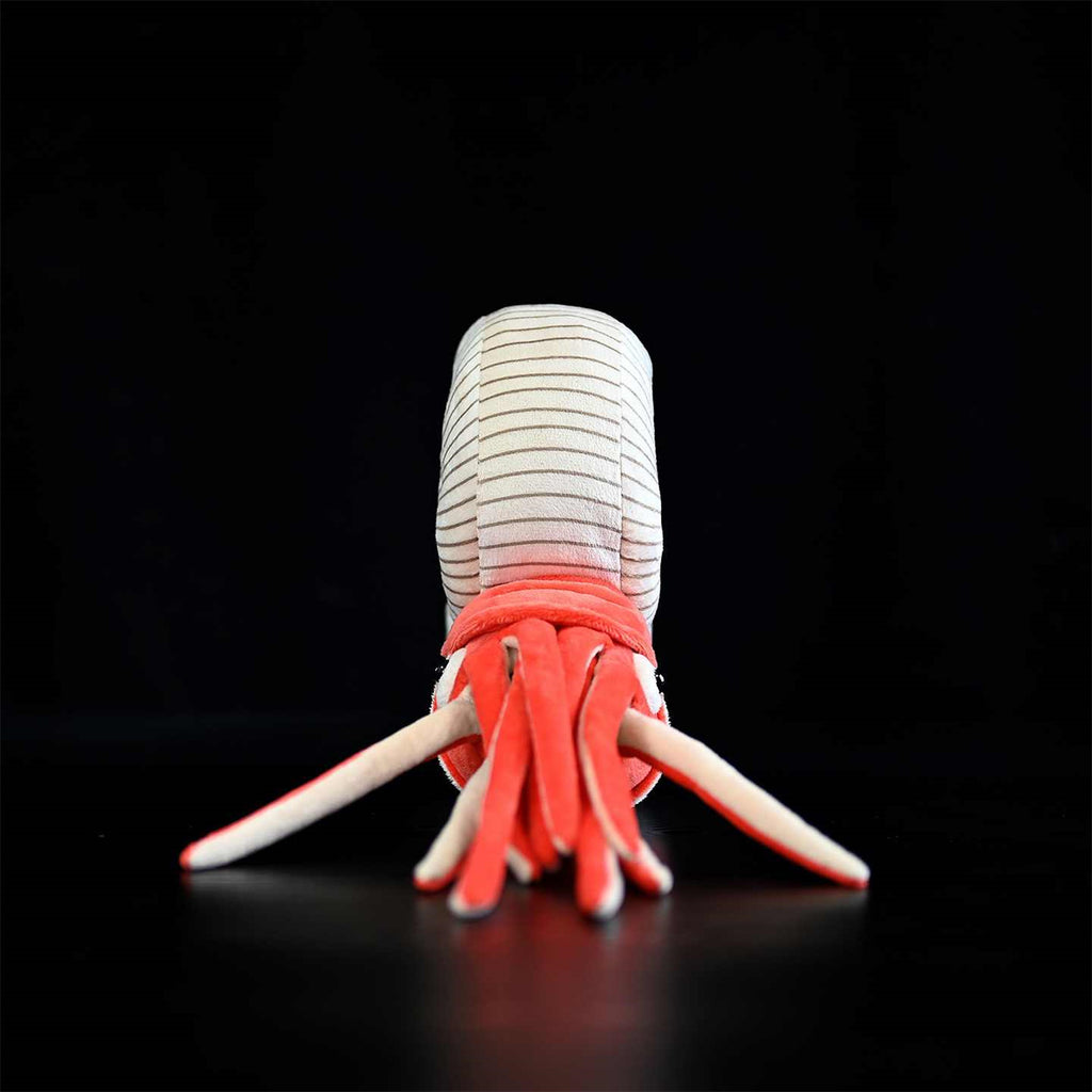 Série Paléontologie Jouets en Peluche Ammonite