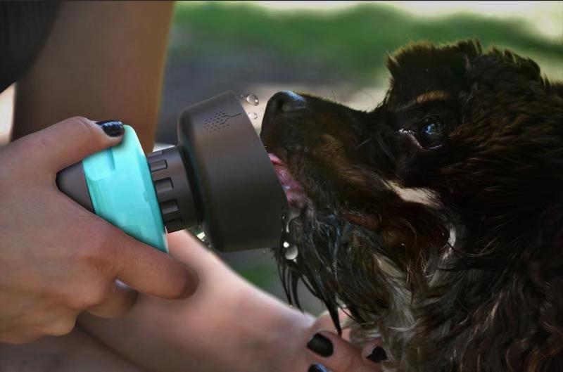 Bouteille d'eau pliable d'extérieur pour animaux de compagnie, distributeur d'eau de voyage pour chien