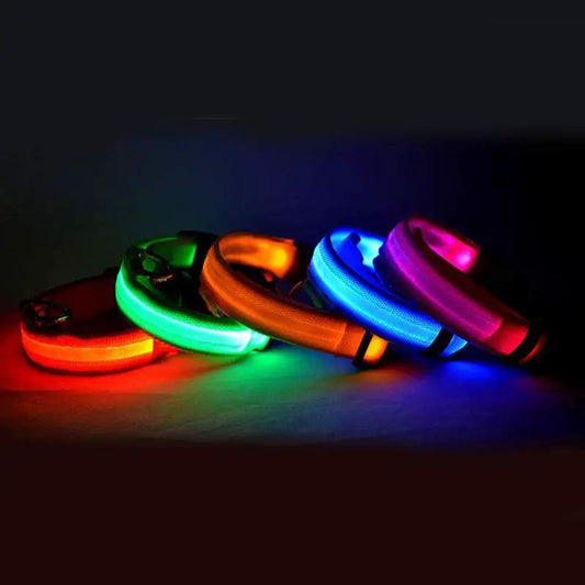 Nylon LED pet collar set with flashing glow in red, green, blue, orange and pink for dogs and cats