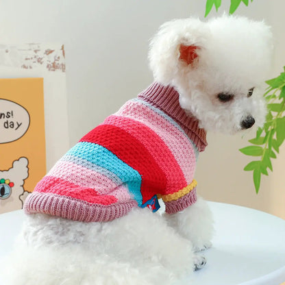 Pet sweater with pink, red and blue stripes on a fluffy white dog