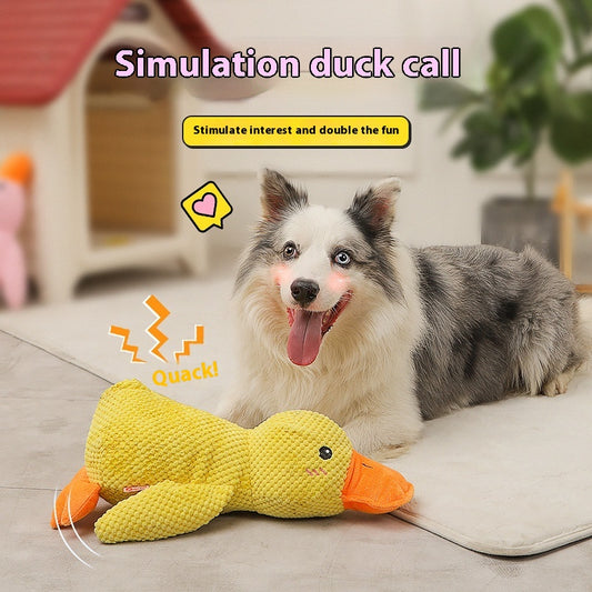 Calming Duck