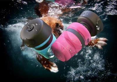 Bouteille d'eau pliable d'extérieur pour animaux de compagnie, distributeur d'eau de voyage pour chien