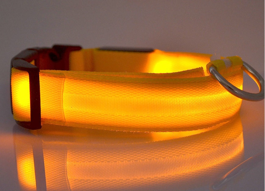 Collar luminoso de nailon con LED para mascotas, de seguridad nocturna, intermitente, que brilla en la oscuridad, correa ajustable para perros y gatos, suministros para mascotas