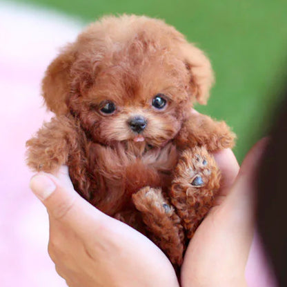 Peluche courte de chiot robot