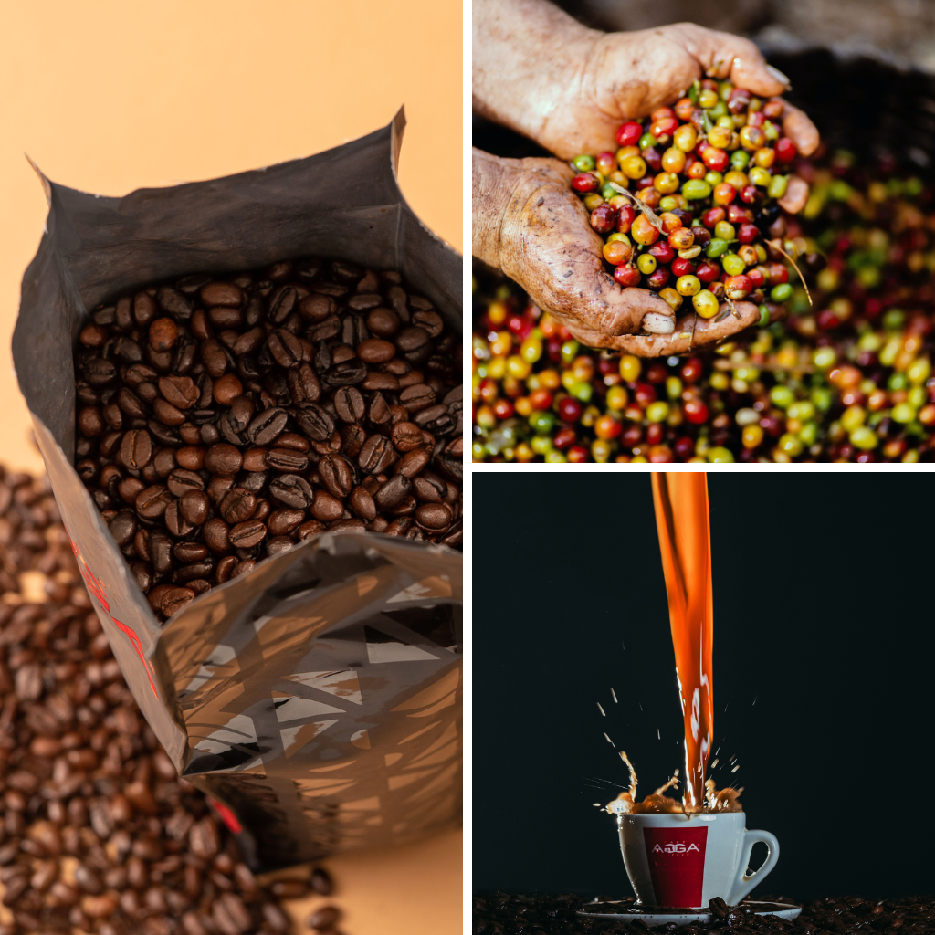Kenya AA 2500 g - Haricots noirs
