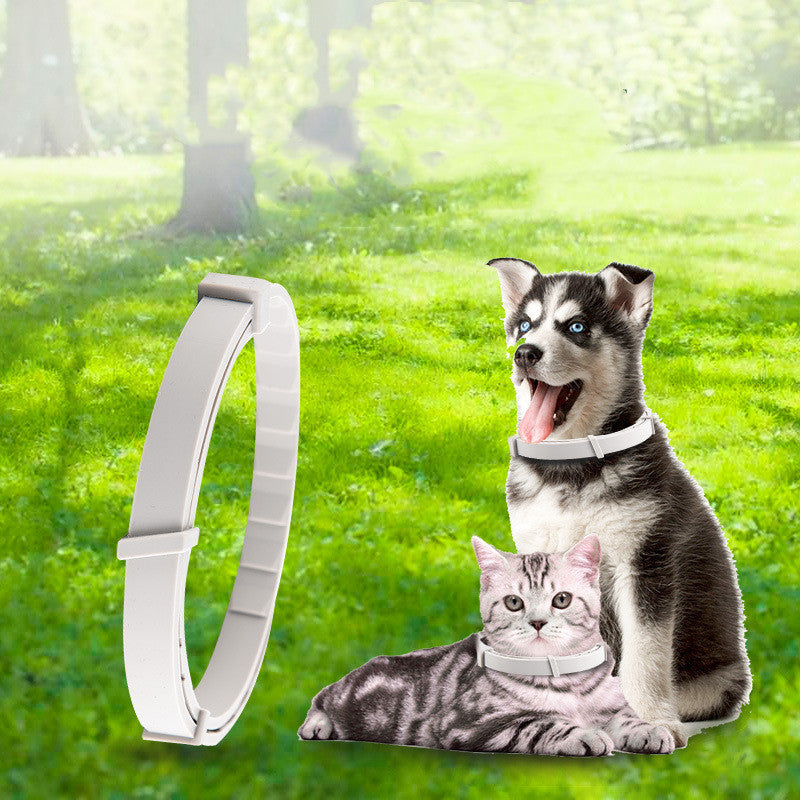 Collier anti-moustiques pour animaux de compagnie (chat et chien) - Collier répulsif anti-insectes ajustable - Accessoires pour animaux