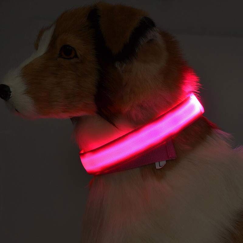 Collar luminoso de nailon con LED para mascotas, de seguridad nocturna, intermitente, que brilla en la oscuridad, correa ajustable para perros y gatos, suministros para mascotas