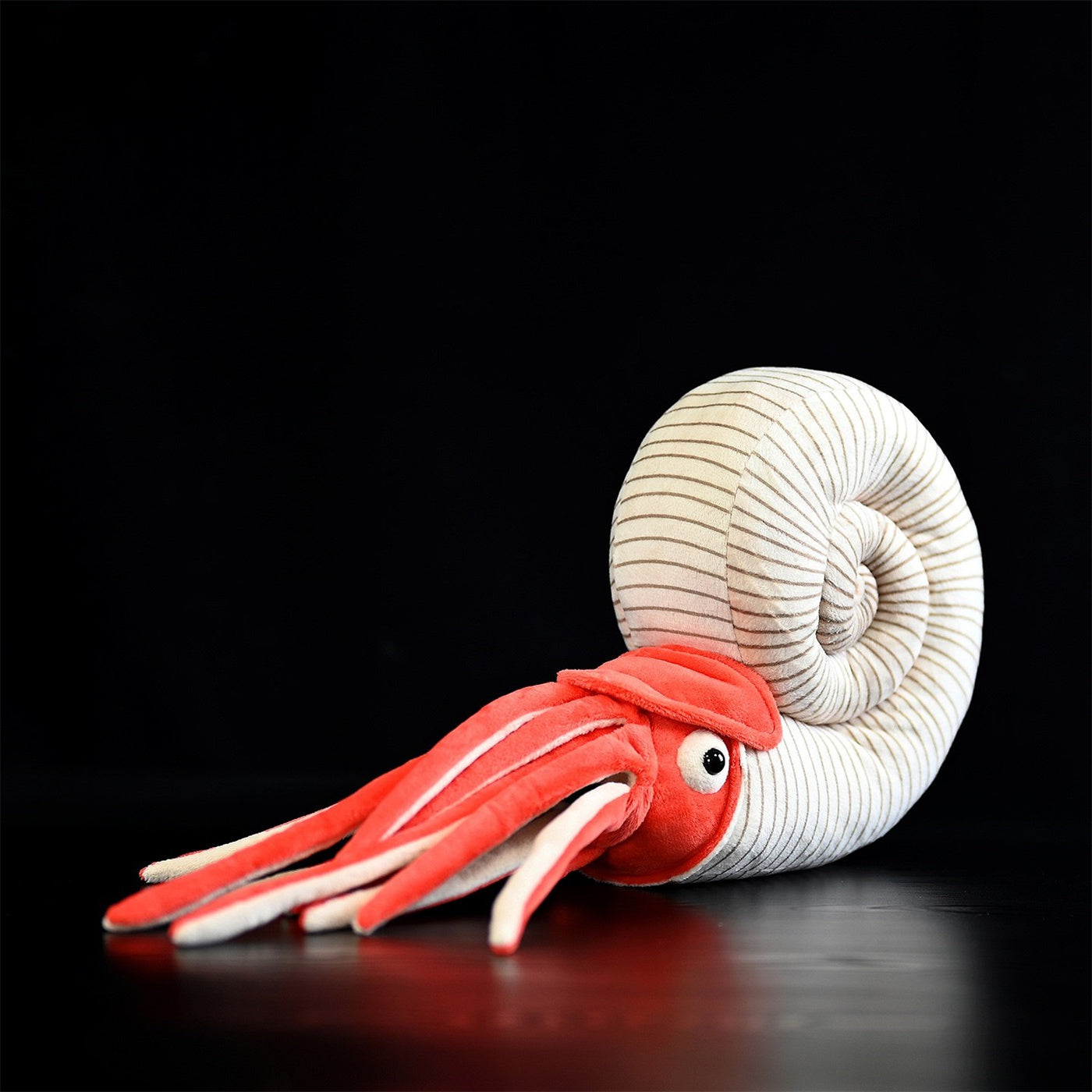 Série Paléontologie Jouets en Peluche Ammonite