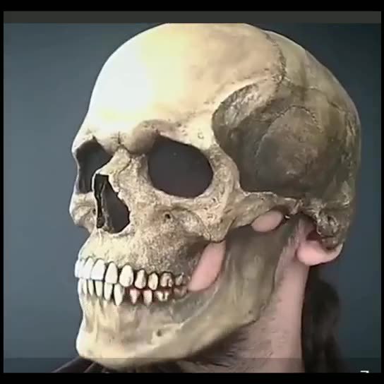 Máscara de calavera completa con mandíbula móvil, máscara de calavera de esqueleto 3D, máscara de horror para adultos, disfraz de cosplay